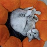 (Kategori: ) berada di . Dikirim oleh marlinas123 (ID iklan 1373833612, Gambar 1). Deskripsi: .