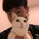 由 czp__110 (刊登 ID 1379509902，圖片 1) 提交，位於 的 (類別：)，說明：。