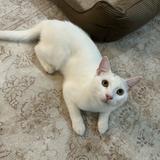(Category: ) located in . Submitted by hannah_drt (Listing ID 1082465505, Image 1). Description: .