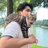 (Category: ) located in . Submitted by hdffrd0418639 (Listing ID 1384357345, Image 1). Description: .