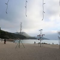 （分類：）位於 。 由 yauhang20005213 提交（商品編號 1372979007，圖片 1）。簡介： 。