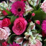 (Category: ) located in . Submitted by bloomforme (Listing ID 1384371217, Image 1). Description: .