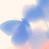 由 der_sommer (刊登 ID 1372142092，圖片 1) 提交，位於 的 (類別：)，說明：。