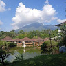 (Kategori: ) berada di . Dikirim oleh egidio092406391 (ID iklan 1373157246, Gambar 1). Deskripsi: .