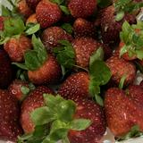 (Category: ) located in . Submitted by eniiiiiii99 (Listing ID 1375206887, Image 1). Description: .