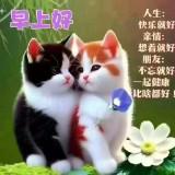 （分類：）位於 。 由 anitaho1020 提交（商品編號 1379929995，圖片 1）。簡介： 。