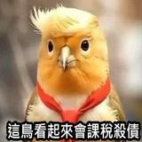 頭像