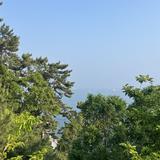 由 ting6398 (刊登 ID 1377180738，圖片 1) 提交，位於 的 (類別：)，說明：。