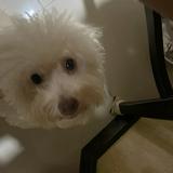 (Category: ) located in . Submitted by jayljj157 (Listing ID 1372929594, Image 1). Description: .