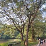 (Kategori: ) berada di . Dikirim oleh safllovd (ID iklan 1379447336, Gambar 1). Deskripsi: .