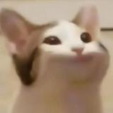 （分類：）位於 。 由 kaydenchan0617 提交（商品編號 1376148183，圖片 1）。簡介： 。