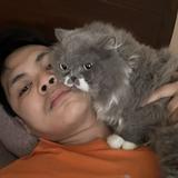 (Kategori: ) berada di . Dikirim oleh dolihaasibuan (ID iklan 1374752597, Gambar 1). Deskripsi: .