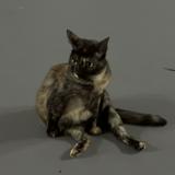 (Category: ) located in . Submitted by infinxte (Listing ID 1385793263, Image 1). Description: .