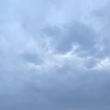 (Category: ) located in . Submitted by scurby (Listing ID 1373412778, Image 1). Description: .