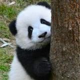 （分類：）位於 。 由 jiajiadede 提交（商品編號 1373201091，圖片 1）。簡介： 。