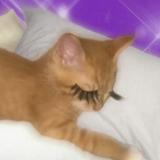 (Category: ) located in . Submitted by em997 (Listing ID 1377283342, Image 1). Description: .