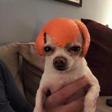 (Category: ) located in . Submitted by g4rald (Listing ID 1375435172, Image 1). Description: .