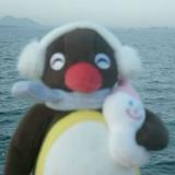 (Category: ) located in . Submitted by xjxhxm (Listing ID 1373596005, Image 1). Description: .