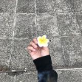 由 discern (刊登 ID 1380637002，圖片 1) 提交，位於 的 (類別：)，說明：。