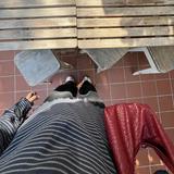 (Category: ) located in . Submitted by site88 (Listing ID 1382605828, Image 1). Description: .