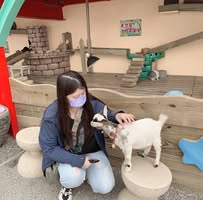 由 cathy8612142054 (刊登 ID 1379967271，圖片 1) 提交，位於 的 (類別：)，說明：。