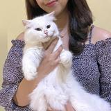 (Kategori: ) berada di . Dikirim oleh findyoursecond (ID iklan 1375823459, Gambar 1). Deskripsi: .