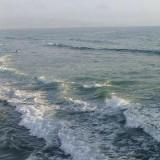 (Category: ) located in . Submitted by venbear (Listing ID 1314317111, Image 1). Description: .