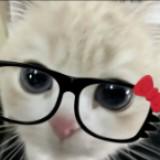 (Kategori: ) berada di . Dikirim oleh bilaawardrobe (ID iklan 1381716487, Gambar 1). Deskripsi: .