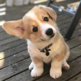 (Category: ) located in . Submitted by budgetfindsforyou (Listing ID 1381854870, Image 1). Description: .
