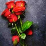 (Kategori: ) berada di . Dikirim oleh roseroseli41796 (ID iklan 1374819085, Gambar 1). Deskripsi: .