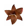 (Kategori: ) berada di . Dikirim oleh salca__ (ID iklan 1374199100, Gambar 1). Deskripsi: .