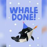 (Kategori: ) berada di . Dikirim oleh whale.done (ID iklan 1381100459, Gambar 1). Deskripsi: .