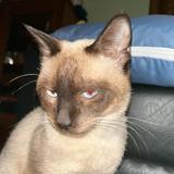 (Category: ) located in . Submitted by chrislfl (Listing ID 1374446249, Image 1). Description: .