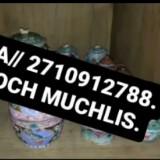 (Kategori: ) berada di . Dikirim oleh muchammad.muchlis (ID iklan 1374516780, Gambar 1). Deskripsi: .