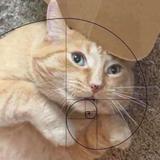 (Category: ) located in . Submitted by srrchen (Listing ID 1380186174, Image 1). Description: .