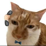 （分類：）位於 。 由 cattymemo 提交（商品編號 1364150414，圖片 1）。簡介： 。