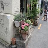 （分類：）位於 。 由 leungwi 提交（商品編號 1385340181，圖片 1）。簡介： 。