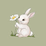 (Category: ) located in . Submitted by lolisflorist (Listing ID 1374577008, Image 1). Description: .