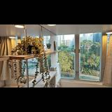 （分類：）位於 。 由 luxurypppp 提交（商品編號 1334458895，圖片 1）。簡介： 。