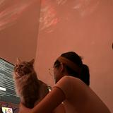 (Category: ) located in . Submitted by maerox (Listing ID 1448242983, Image 1). Description: .