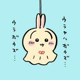 由 fana491085 (刊登 ID 1383098006，圖片 1) 提交，位於 的 (類別：)，說明：。