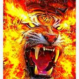 (Category: ) located in . Submitted by fire.tiger (Listing ID 1377983072, Image 1). Description: .