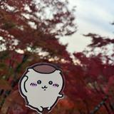 （分類：）位於 。 由 mashaaaaa 提交（商品編號 1380897511，圖片 1）。簡介： 。