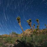 (Category: ) located in . Submitted by timelapse.28 (Listing ID 1374866640, Image 1). Description: .