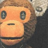 (Category: ) located in . Submitted by zkusu (Listing ID 1380037282, Image 1). Description: .