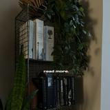 (Category: ) located in . Submitted by carrinewithbooks (Listing ID 1379382074, Image 1). Description: .
