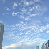 （分類：）位於 。 由 fjh13841 提交（商品編號 1384436198，圖片 1）。簡介： 。