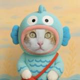 (Category: ) located in . Submitted by my.op.shop (Listing ID 1369754898, Image 1). Description: .