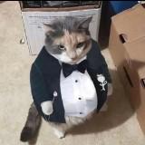 (Category: ) located in . Submitted by somethingg5 (Listing ID 1379484639, Image 1). Description: .