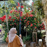 (Kategori: ) berada di . Dikirim oleh sukmaramad05852 (ID iklan 1386303114, Gambar 1). Deskripsi: .